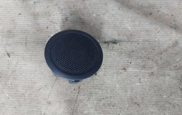 Panel speaker