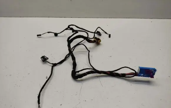 Porsche Cayenne (92A) Front door wiring loom 8E0972416 1J972977
