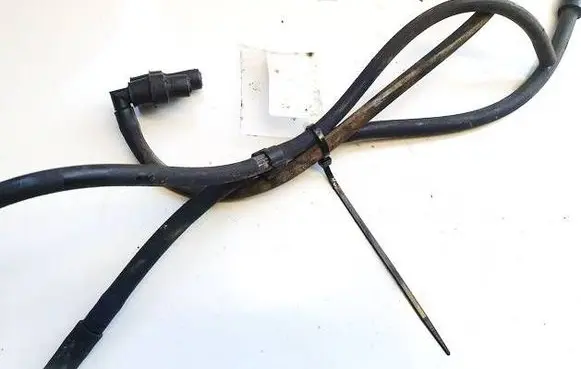 Ford Focus Engine coolant pipe/hose