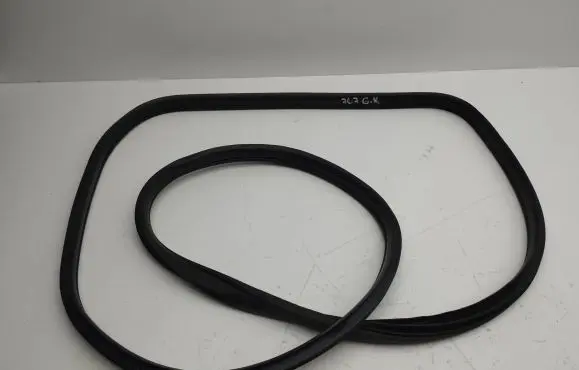 Rear door rubber seal (on body)