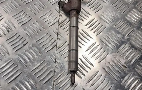 Hyundai Getz Fuel injector 0445110256