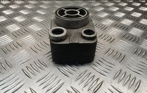 Renault Clio III Oil filter mounting bracket 779744