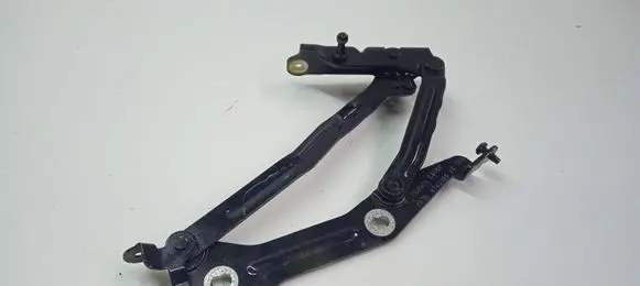 Ford Mustang VI Tailgate/trunk/boot hinge FR3B6342700