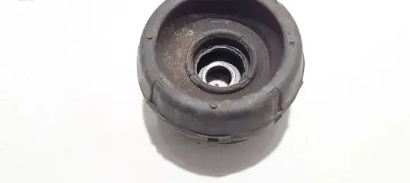 Coil spring mount