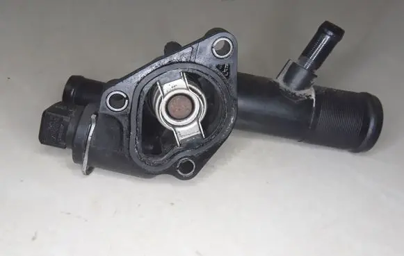 Thermostat/thermostat housing