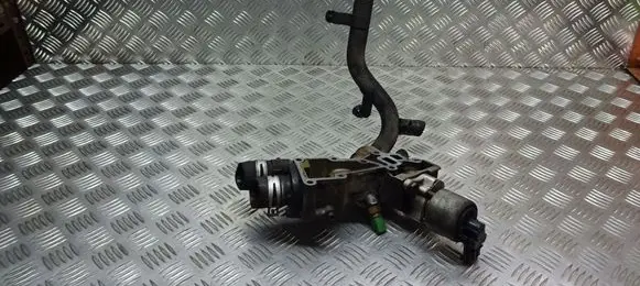Renault Megane I Thermostat/thermostat housing 0809699896