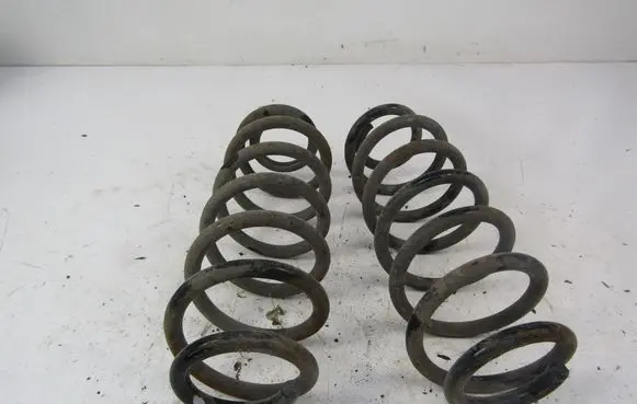 Volkswagen PASSAT B6 Rear coil spring 