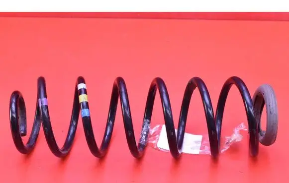 Rear coil spring