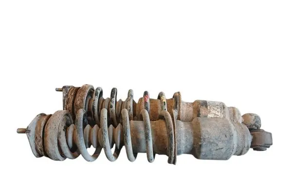 Subaru Outback Rear shock absorber with coil spring 20365AG240