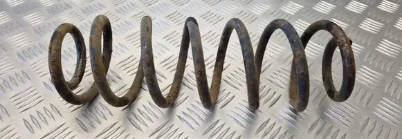 Volkswagen Golf V Rear coil spring