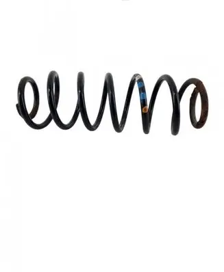 Rear coil spring