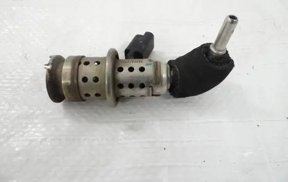 Citroen Berlingo Fuel injector 9802763880