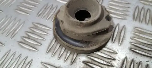 Coil spring mount