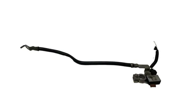 Ford Kuga II Negative earth cable (battery) F1FT10C679BA
