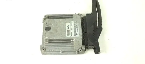 Hyundai Santa Fe Engine control unit/module ECU 0281017541 391032F440