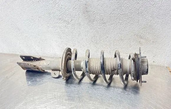 Opel Antara Front shock absorber with coil spring 95147607 SAD10B003 13J141793DA