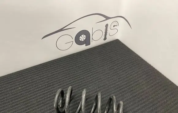BMW 2 F44 Rear coil spring