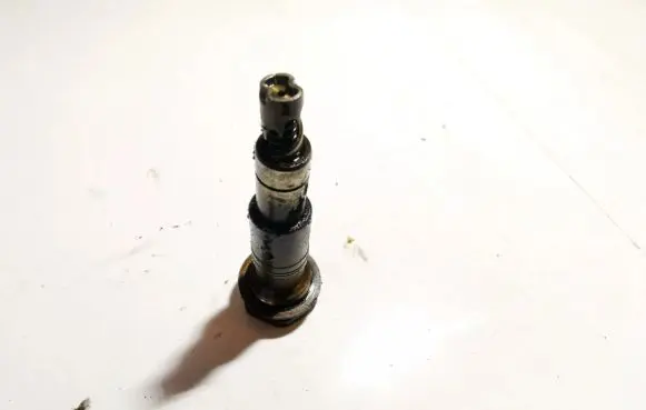 Opel Signum Slide rail for timing chain 