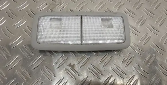 Rear seat light