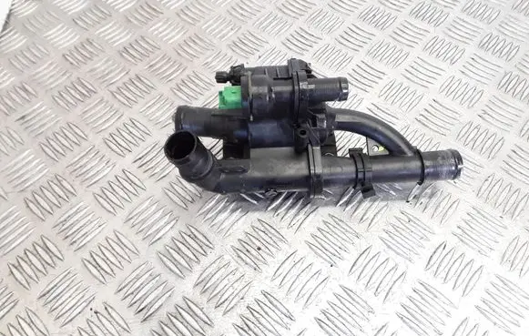 Thermostat/thermostat housing