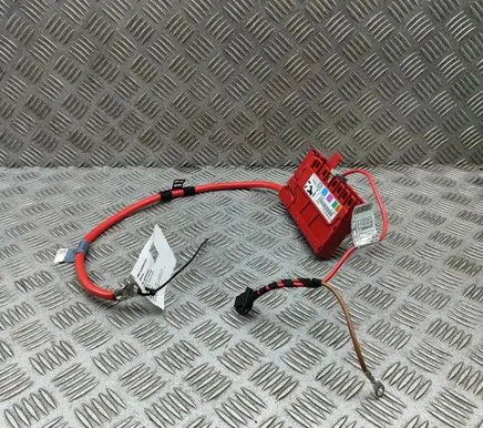 BMW Z4 E89 Positive wiring loom 9225768 9192124