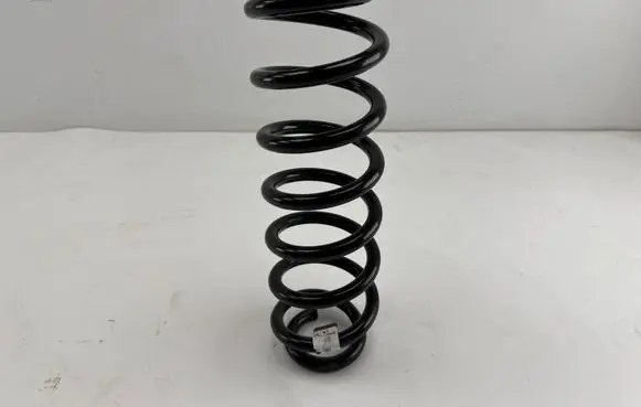 Rear coil spring