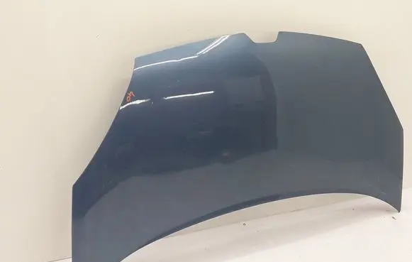 Renault Kangoo II Engine bonnet/hood 651329338R