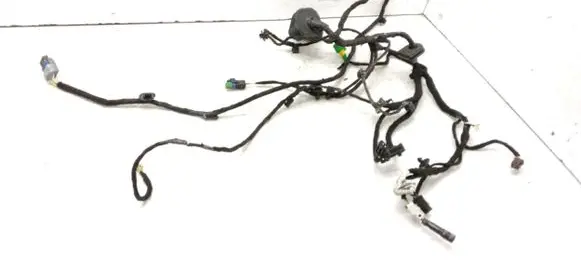 Front door wiring loom