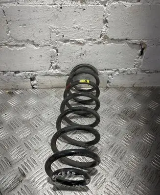 Renault Megane III Rear coil spring