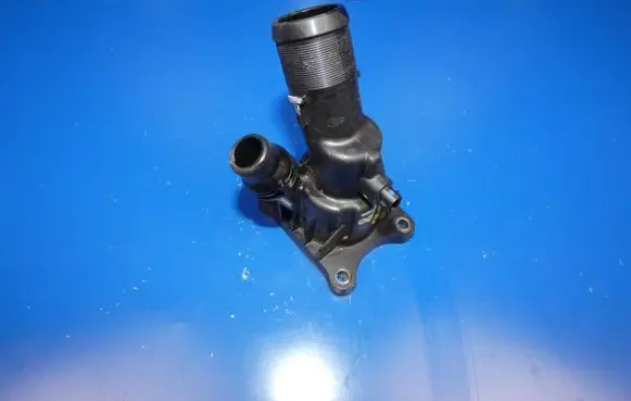 Thermostat/thermostat housing