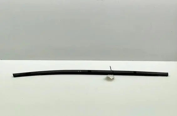 Nissan Ariya Rear door glass trim molding 828215MP0A