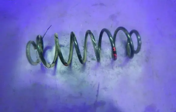 Seat Ibiza IV (6J,6P) Rear coil spring