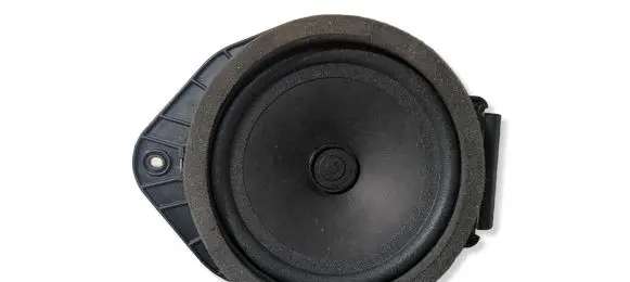 Opel Insignia A Front door speaker 13240968 341188431