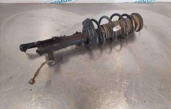 Chevrolet Cruze Front shock absorber with coil spring 13402939 0123