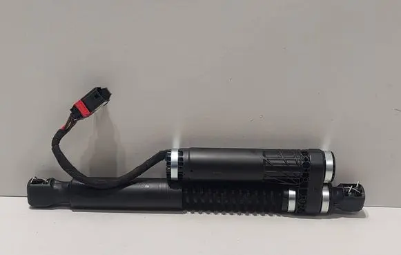 Tailgate/trunk strut/damper
