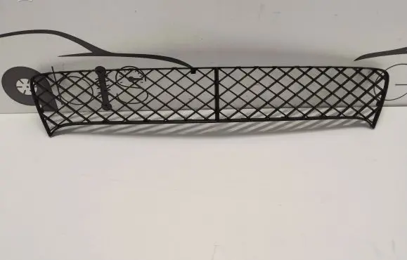 Bentley Continental Front bumper lower grill 3w3807667