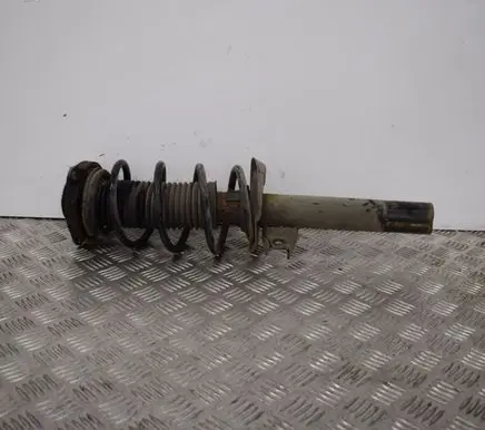 Volkswagen Golf V Front shock absorber/damper 1K0413031BE