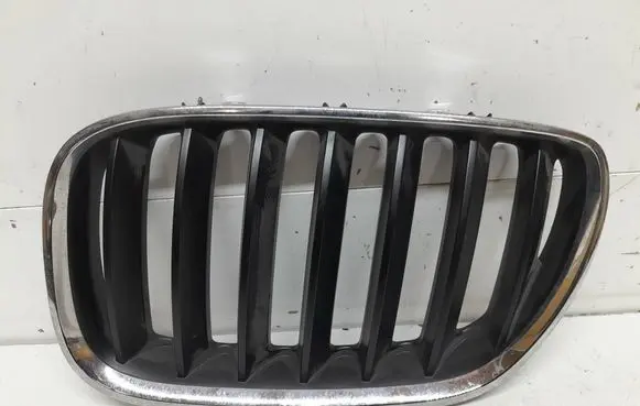 BMW X5 E53 Front bumper upper radiator grill 51137124815 51137113737 7113737