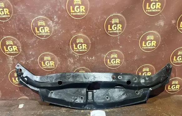Engine bonnet/hood lock trim molding