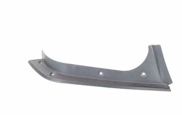 Rear/tail light trim molding