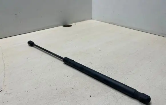 Opel Insignia A Tailgate/trunk strut/damper 315005777