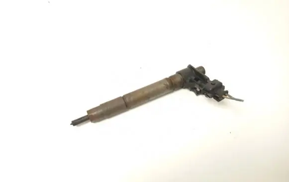 Land Rover Evoque I Fuel injector 9687454480