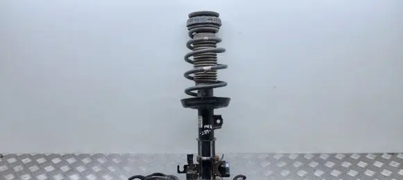 Opel Insignia A Front shock absorber with coil spring 22957280 314801619 562400008982