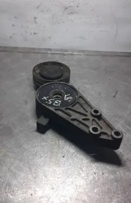 Volkswagen PASSAT B5.5 Alternator belt tensioner 058903133
