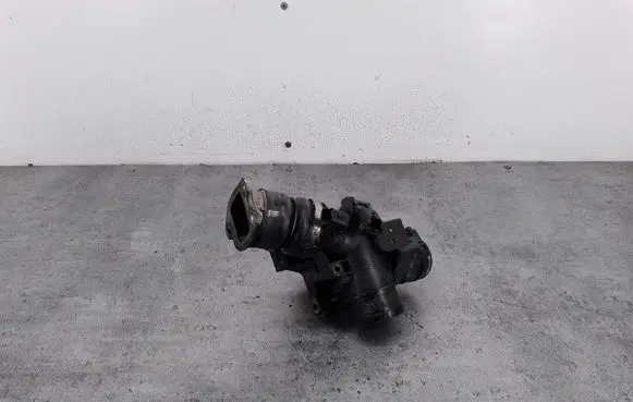 Throttle body valve