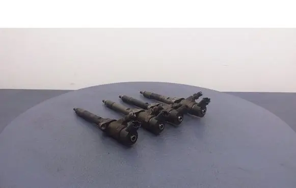 Citroen Xsara Picasso Fuel injector 0445110239