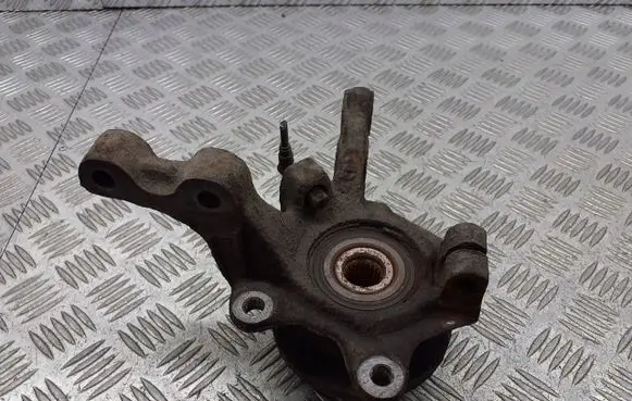 Renault Thalia II Front wheel hub spindle knuckle