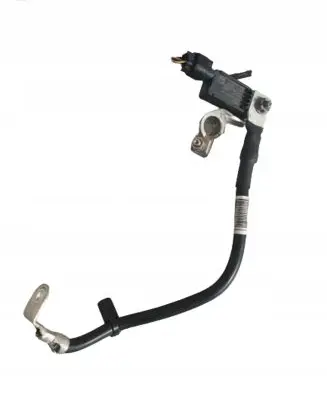 Ford Fiesta Negative earth cable (battery) H1BT10C679AC