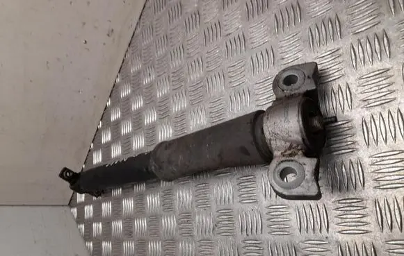 Ford Edge II Rear shock absorber/damper F2GC18W002BNC