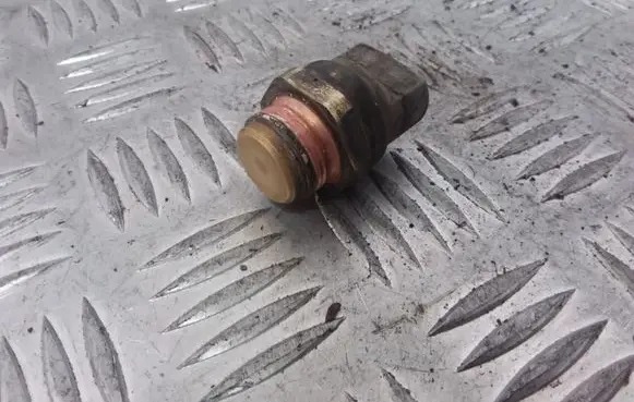 Volkswagen Golf III Coolant temperature sensor 191959481C